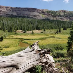 Medicine Bow National Forest - Laramie