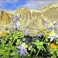 Snowy Range Scenic Byway - Laramie