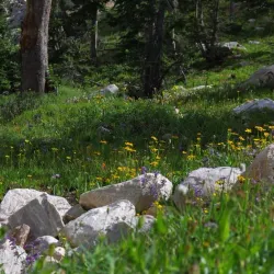 Snowy Range Scenic Byway - Laramie