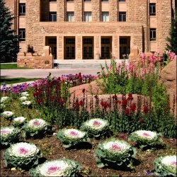 University of Wyoming - Laramie