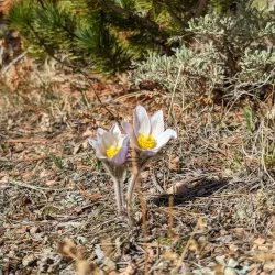 Vedauwoo Recreation Area - Laramie
