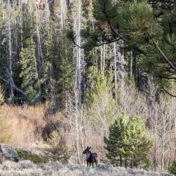 Vedauwoo Recreation Area - Laramie