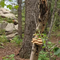 Vedauwoo Recreation Area - Laramie