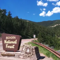 Bighorn National Forest - Sheridan