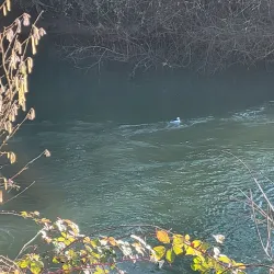 Sheridan Veterans Memorial Park - Sheridan