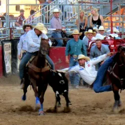 Sheridan WYO Rodeo - Sheridan