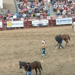 Sheridan WYO Rodeo - Sheridan