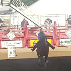 Sheridan WYO Rodeo - Sheridan