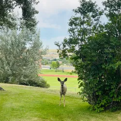 Trail End State Historic Site - Sheridan
