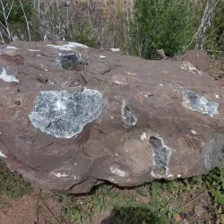 Cueva de los Pajaros - Artigas