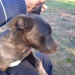 Mirador Cerro Artigas - Artigas