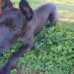 Mirador Cerro Artigas - Artigas