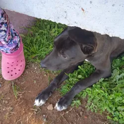 Mirador Cerro Artigas - Artigas