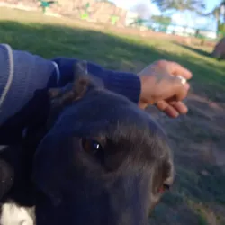 Mirador Cerro Artigas - Artigas