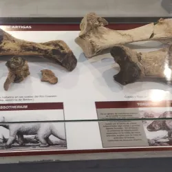 Museo Departamental de Artigas - Artigas