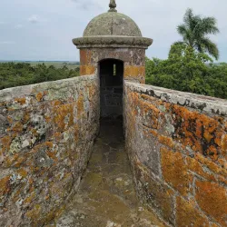 Reserva Natural de San Miguel - Artigas