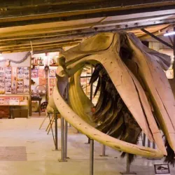 Museo del Mar - Atlantida