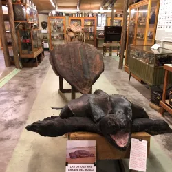 Museo del Mar - Atlantida