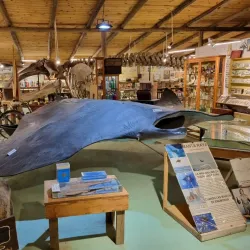 Museo del Mar - Atlantida