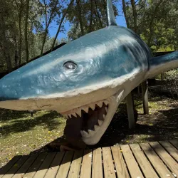 Museo del Mar - Atlantida