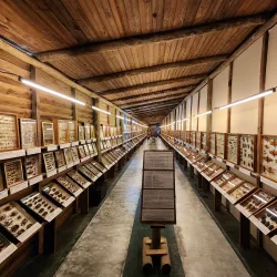 Museo del Mar - Atlantida