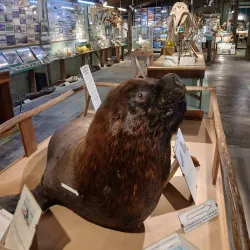 Museo del Mar - Atlantida