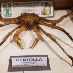 Museo del Mar - Atlantida