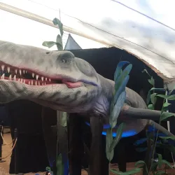 Parque Roosevelt - Atlantida