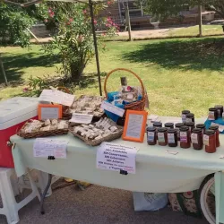 Paseo de los Artesanos - Atlantida