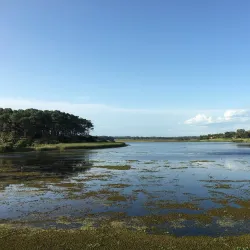 Reserva Natural de la Laguna del Diario - Atlantida