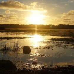 Reserva Natural de la Laguna del Diario - Atlantida