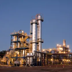 Citrus Plantations Tour - Bella Unión