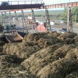 Citrus Plantations Tour - Bella Unión