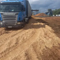 Citrus Plantations Tour - Bella Unión