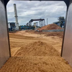 Citrus Plantations Tour - Bella Unión