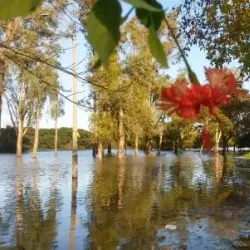 Confluencia Park - Bella Unión