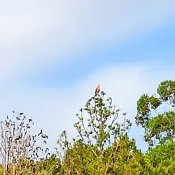 Reserva Natural del Río Cuareim - Bella Unión