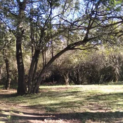 Reserva Natural del Río Cuareim - Bella Unión