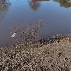 Reserva Natural del Río Cuareim - Bella Unión