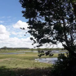 Reserva Natural del Río Cuareim - Bella Unión