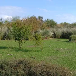 Reserva Natural del Río Cuareim - Bella Unión