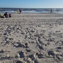 La Floresta Beach - Canelones