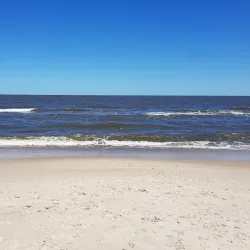 La Floresta Beach - Canelones