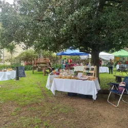 Museo de Canelones - Canelones