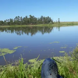Parque del Plata Beach - Canelones