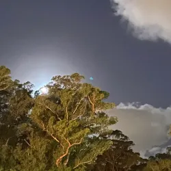 Parque Roosevelt - Canelones