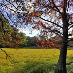 Parque Roosevelt - Canelones