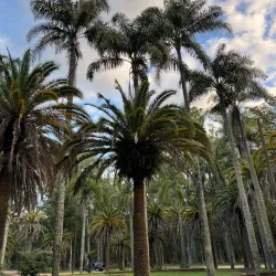 Parque Roosevelt - Canelones