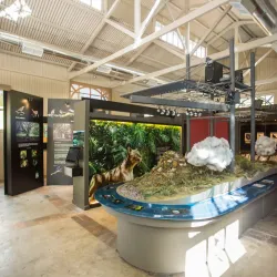 Parque Salus - Canelones