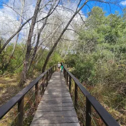 Parque Salus - Canelones